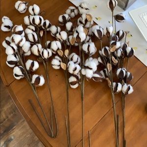 6 cotton stems in great condition
